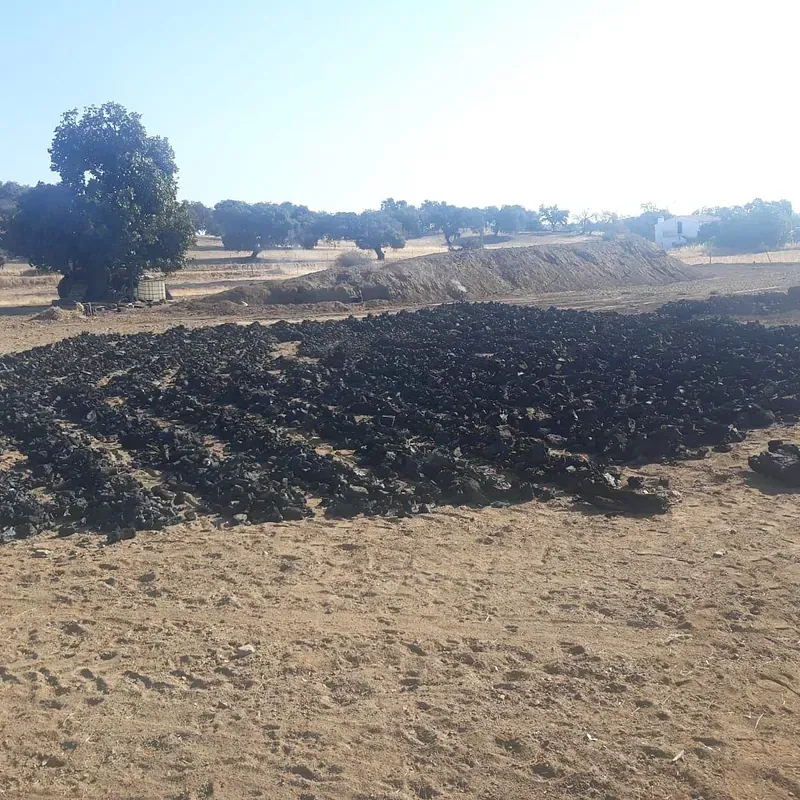 Un gran montón de tierra en un campo con árboles al fondo.