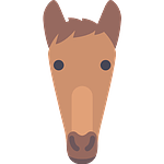 Cours d'équitation