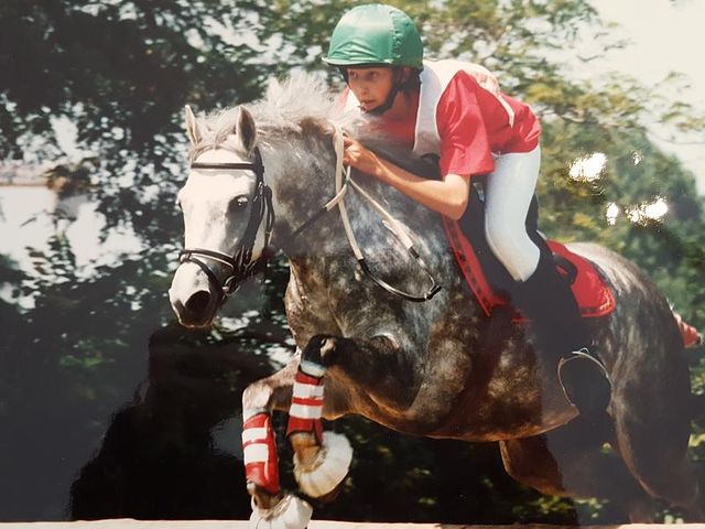 Plaque blason ecu bouclier armoiries poney plaques pvc concours hippiques poneys équitation cso cheval complet chevaux