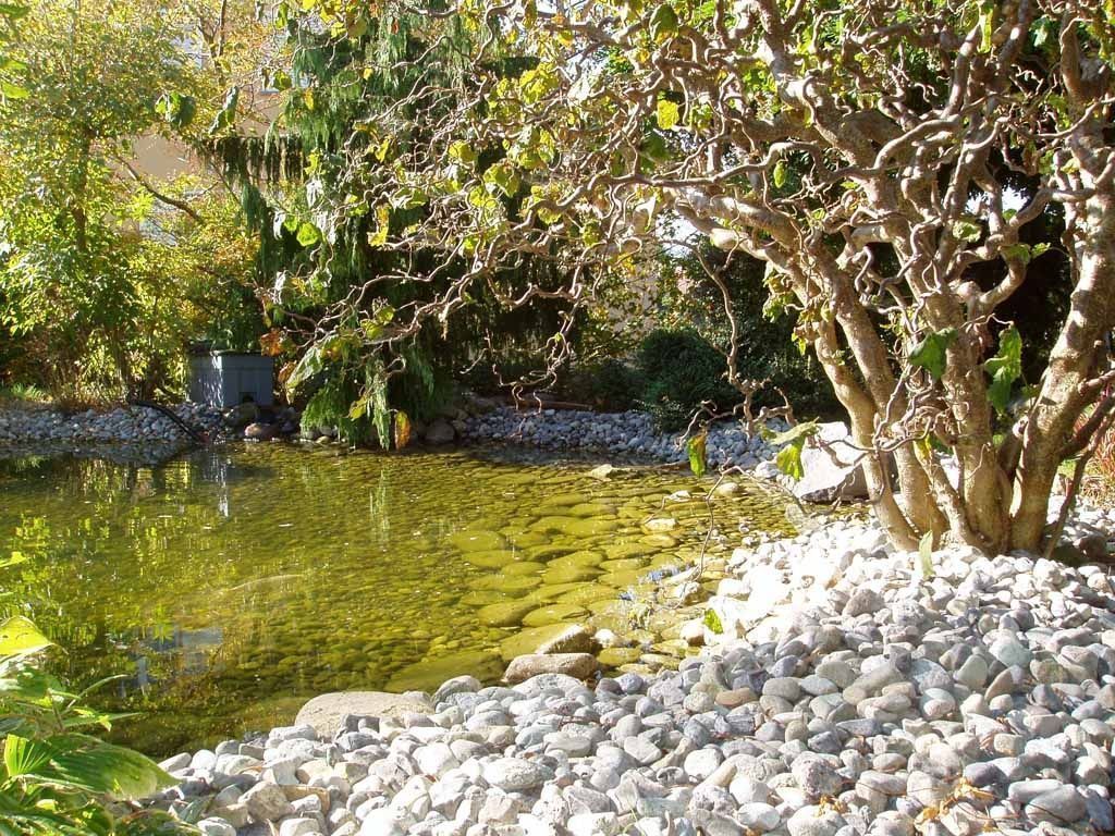 Alain Dutoit Jardinier - Paysagiste sàrl|Promasens