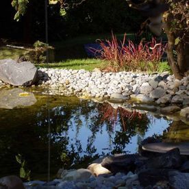 Alain Dutoit Jardinier - Paysagiste sàrl|Promasens