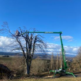 Alain Dutoit Jardinier - Paysagiste sàrl|Promasens