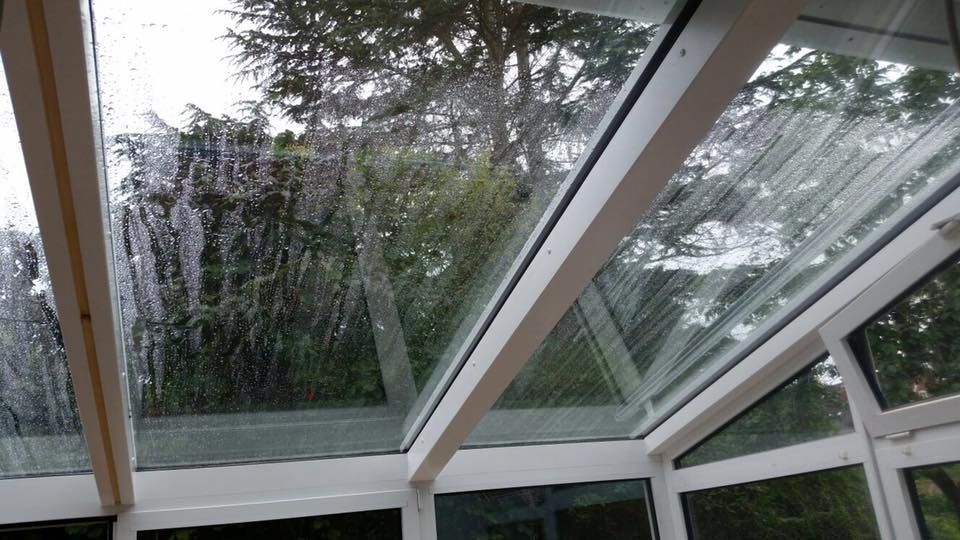 Ein Wintergarten mit Glasdach und Bäumen im Hintergrund