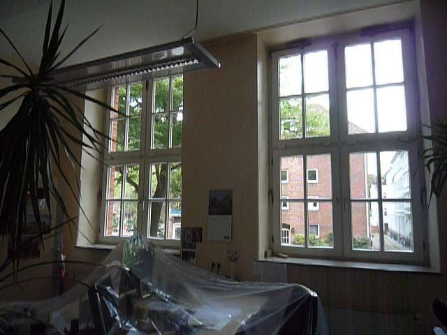 Ein Raum mit vielen Fenstern und einer Pflanze