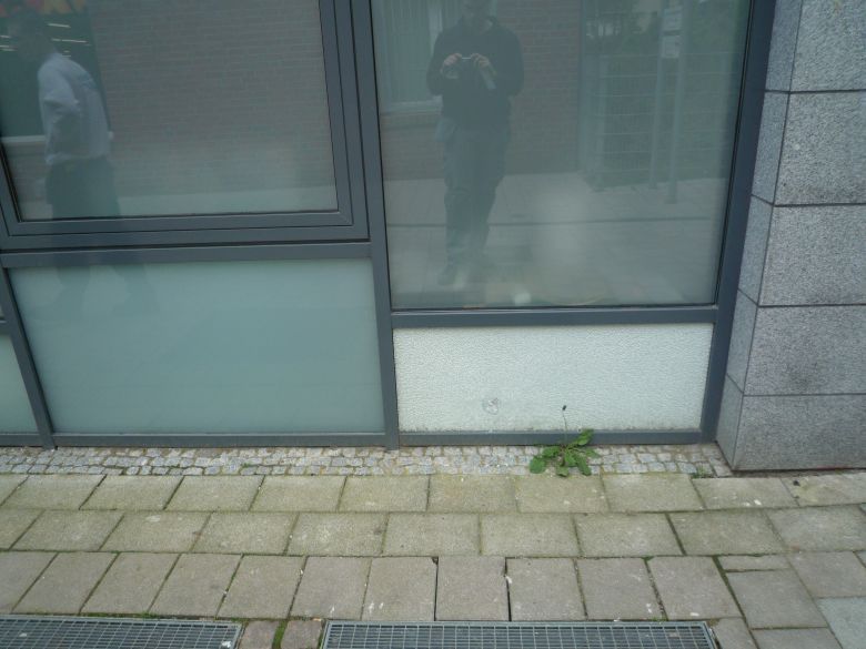 Eine Spiegelung einer Person in einem Fenster eines Gebäudes