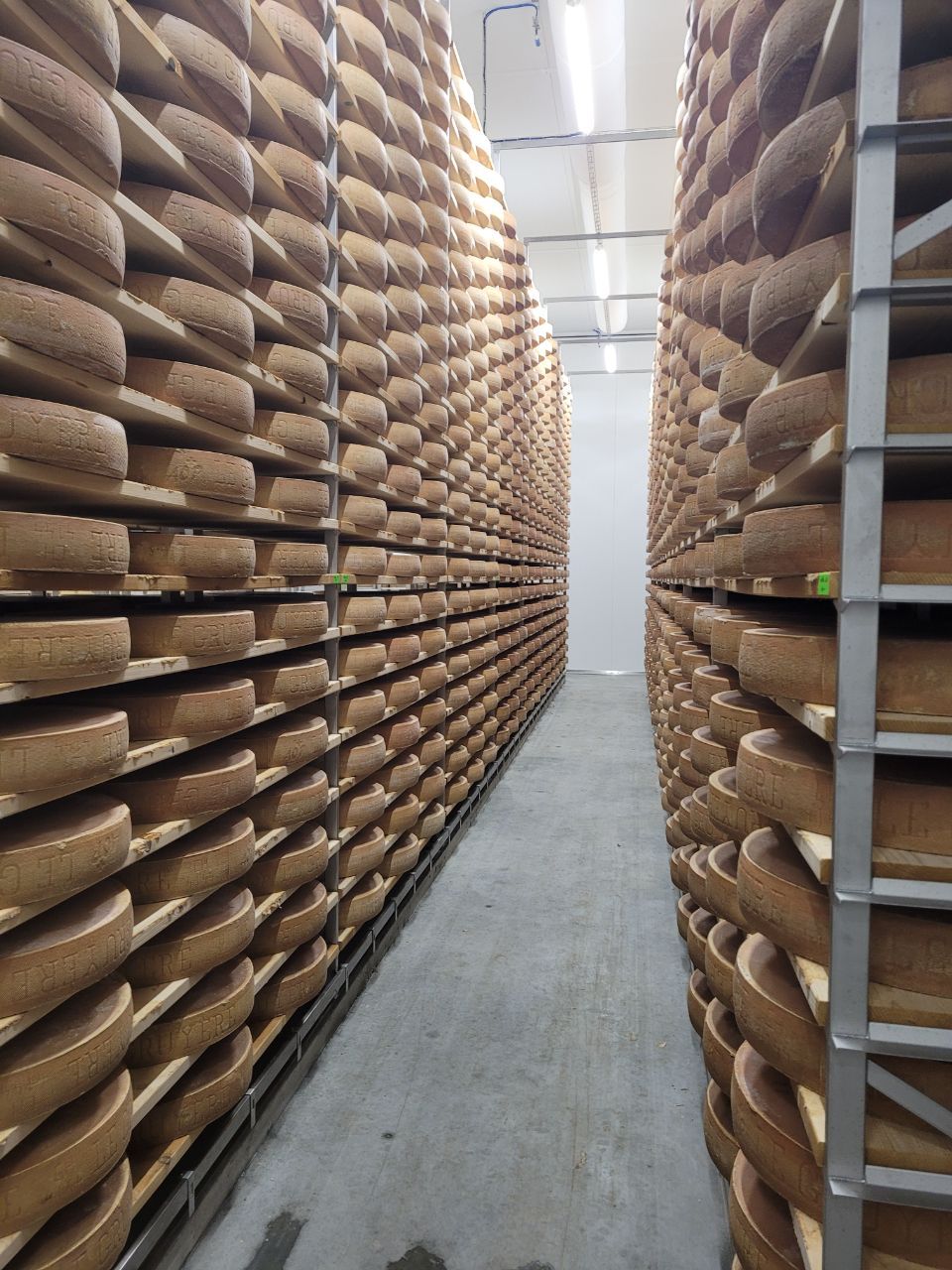 Fromagerie Friesenheid Yerly Louis-Alexandre