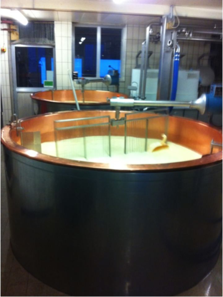 Fromagerie Friesenheid Yerly Louis-Alexandre