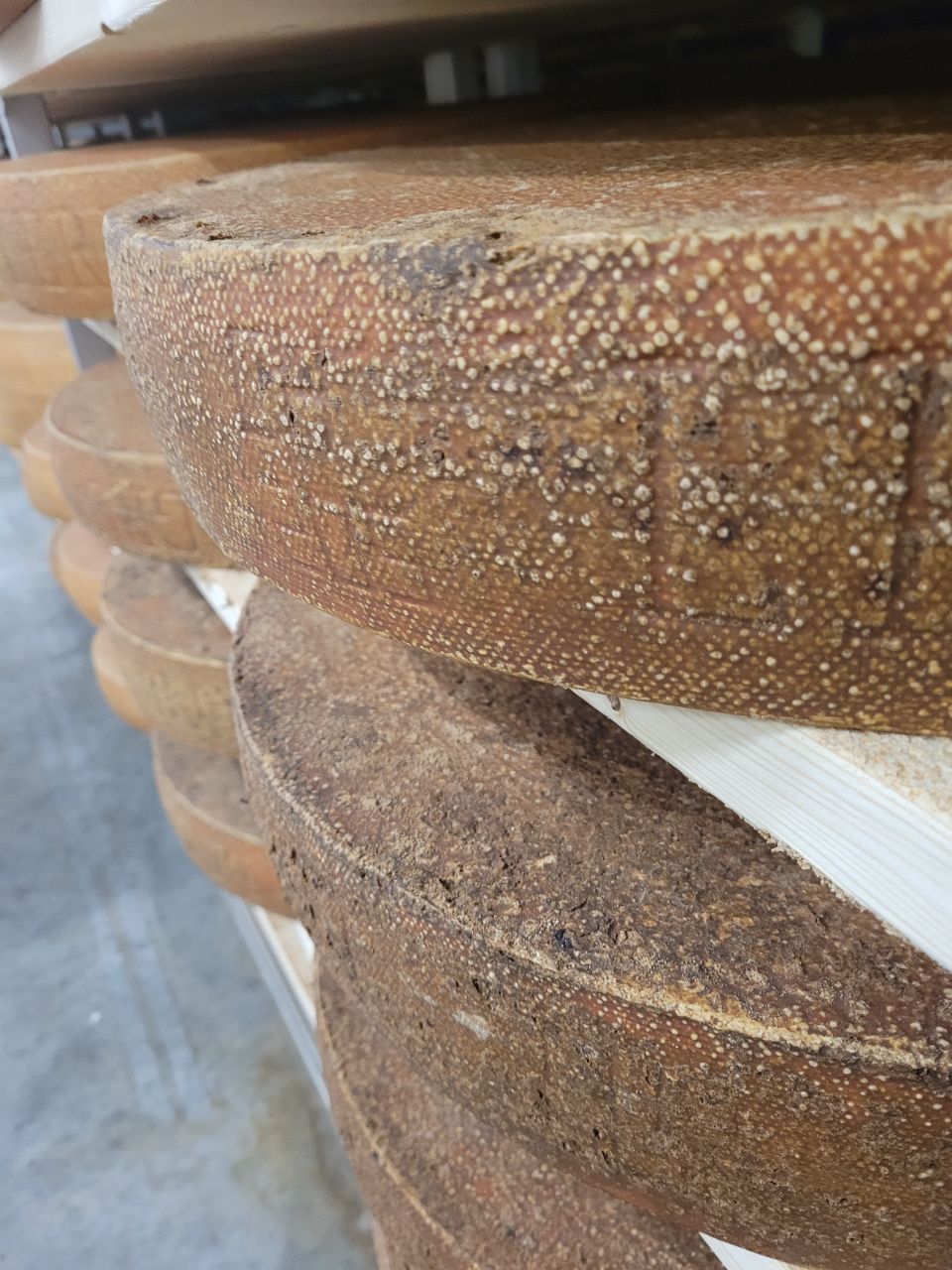 Fromagerie Friesenheid Yerly Louis-Alexandre