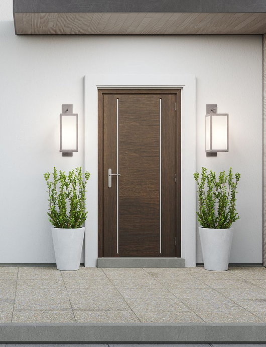 Entrée principale avec porte en bois foncé, appliques murales et deux plantes en pot sur un mur extérieur blanc.