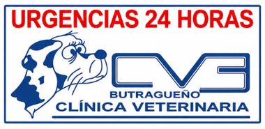 Clínica veterinaria CVE Butragueño con urgencias 24 horas y logo de perro y gato en azul y rojo