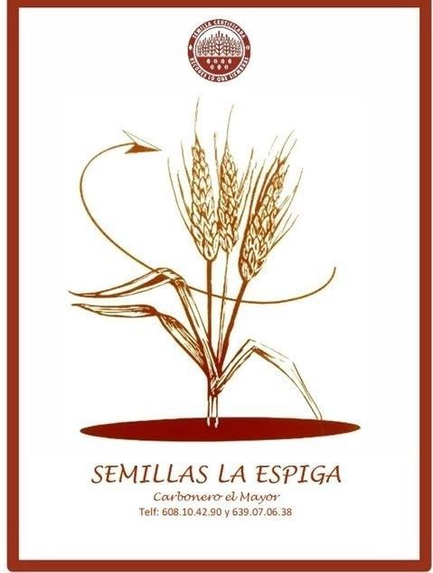 Logotipo de Semillas La Espiga con espigas de trigo y una flecha curva sobre fondo blanco.