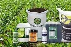 Diversos productos y bolsas de fertilizantes para jardín dispuestos sobre el césped al aire libre.