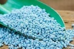 Gránulos de fertilizante azul en una pala verde con bolitas sueltas esparcidas a su alrededor.