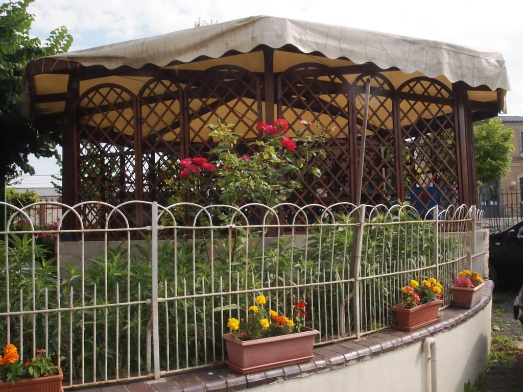 Notre terrasse ombragée