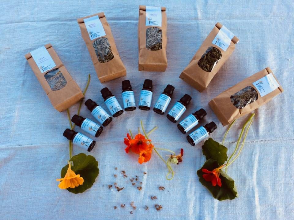 Verschiedene Kräuter in braunen Papiertüten und kleinen Flaschen, zusammen mit Blumen auf einer weissen Fläche arrangiert.