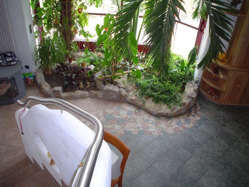 Pflanzen vor einem Fenster