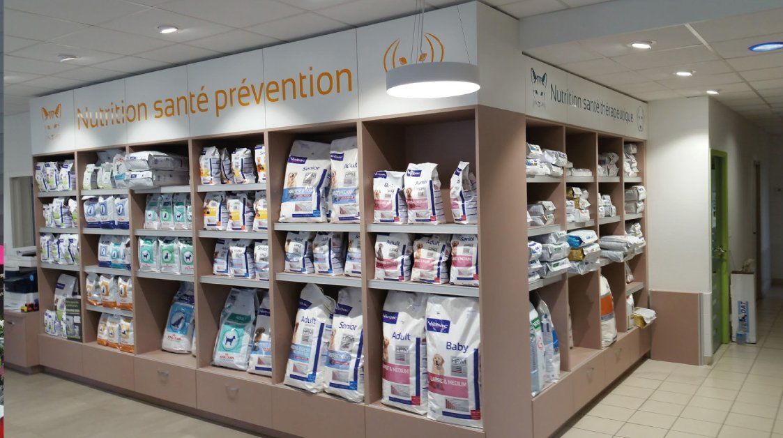 Étagères remplies de nourriture pour animaux dans une clinique vétérinaire, favorisant la santé et la prévention.