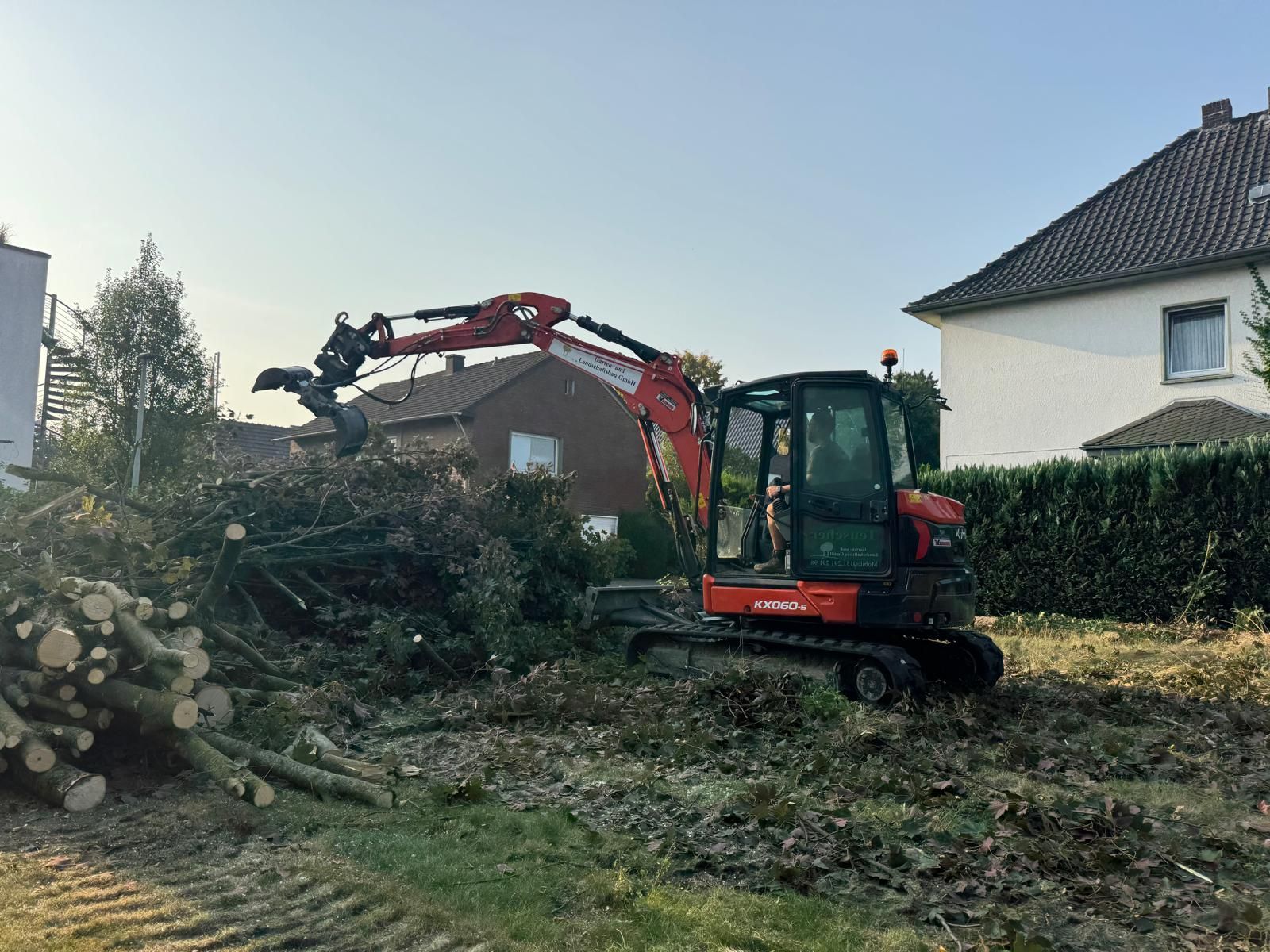 Ein Minibagger rodet Gestrüpp in einem Hof; Bäume und Wohngebäude sind zu sehen.