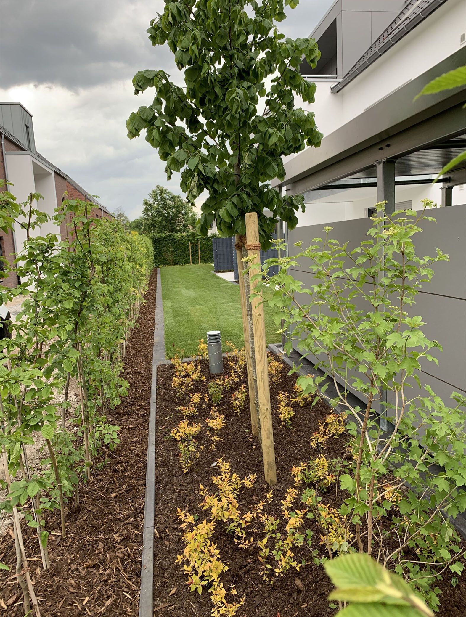 Üppig grüne Bäume und Sträucher säumen einen schmalen Gartenweg zwischen den Gebäuden unter einem bedeckten Himmel.