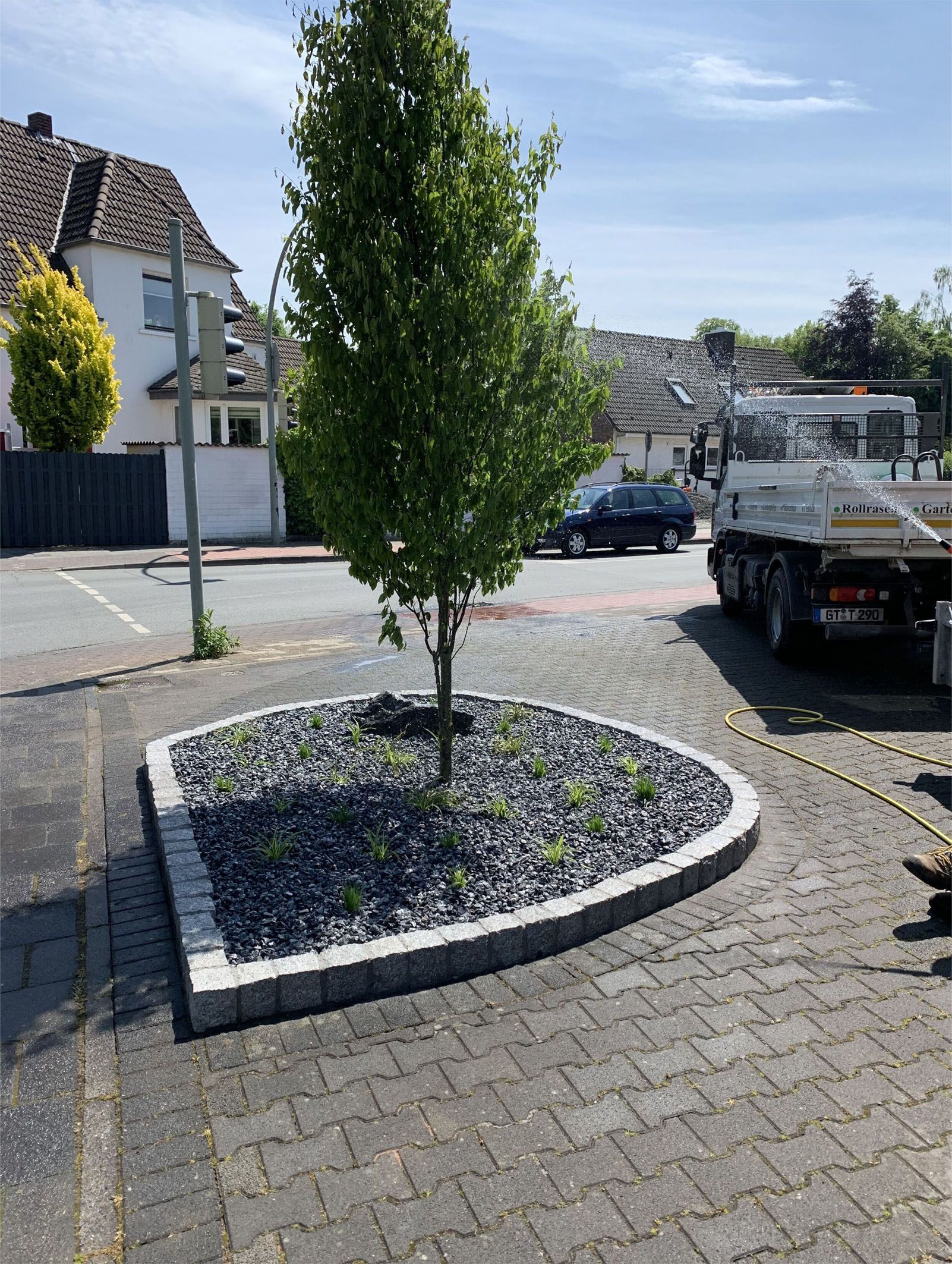 Baum in einem angelegten Beet mit dunklen Steinen und grauer Backsteinumrandung, Straße im Hintergrund.