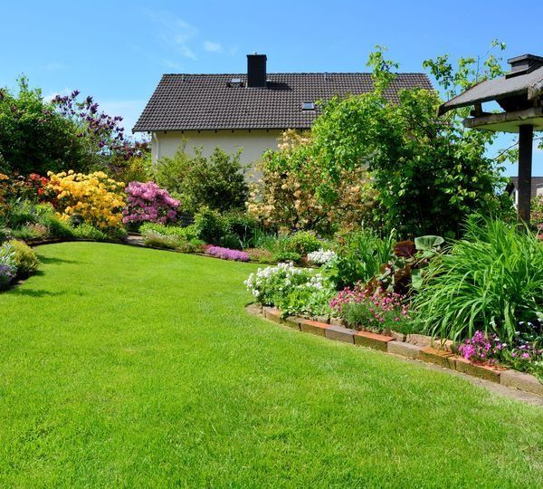 Saftig grüner Rasen mit einem angrenzenden Blumenbeet. Im Hintergrund ein Haus. Strahlend blauer Himmel.