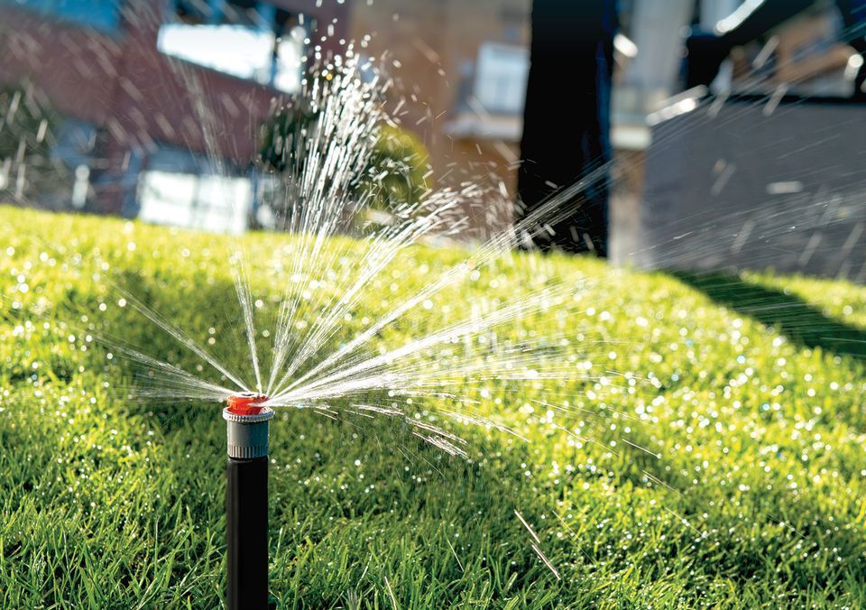 Ein Sprinkler sprüht Wasser auf einen üppigen grünen Rasen.