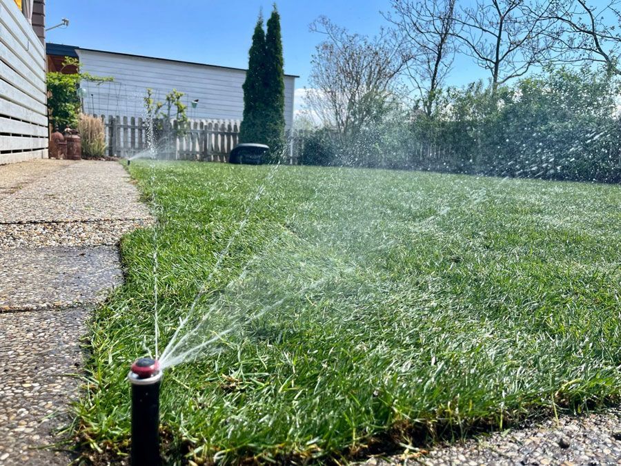 Ein Rasensprenger sprüht Wasser auf einen üppigen grünen Rasen.