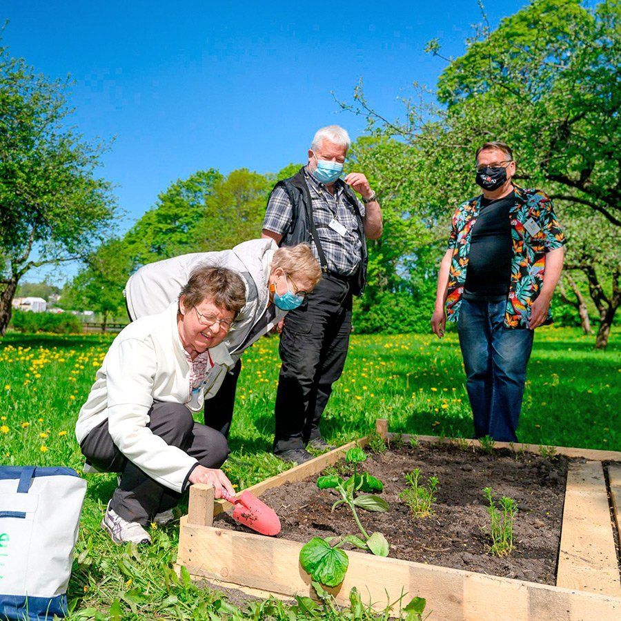 Neljä ihmistä puutarhatöissä aurinkoisessa puistossa.