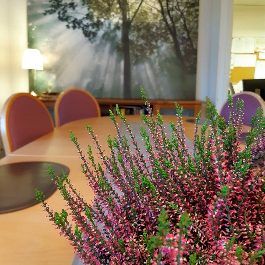 Kanerva pöydän päällä.