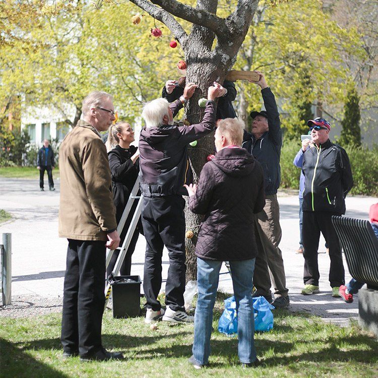 Ihmisiä koristelemassa puuta roikkuvilla koristeilla.