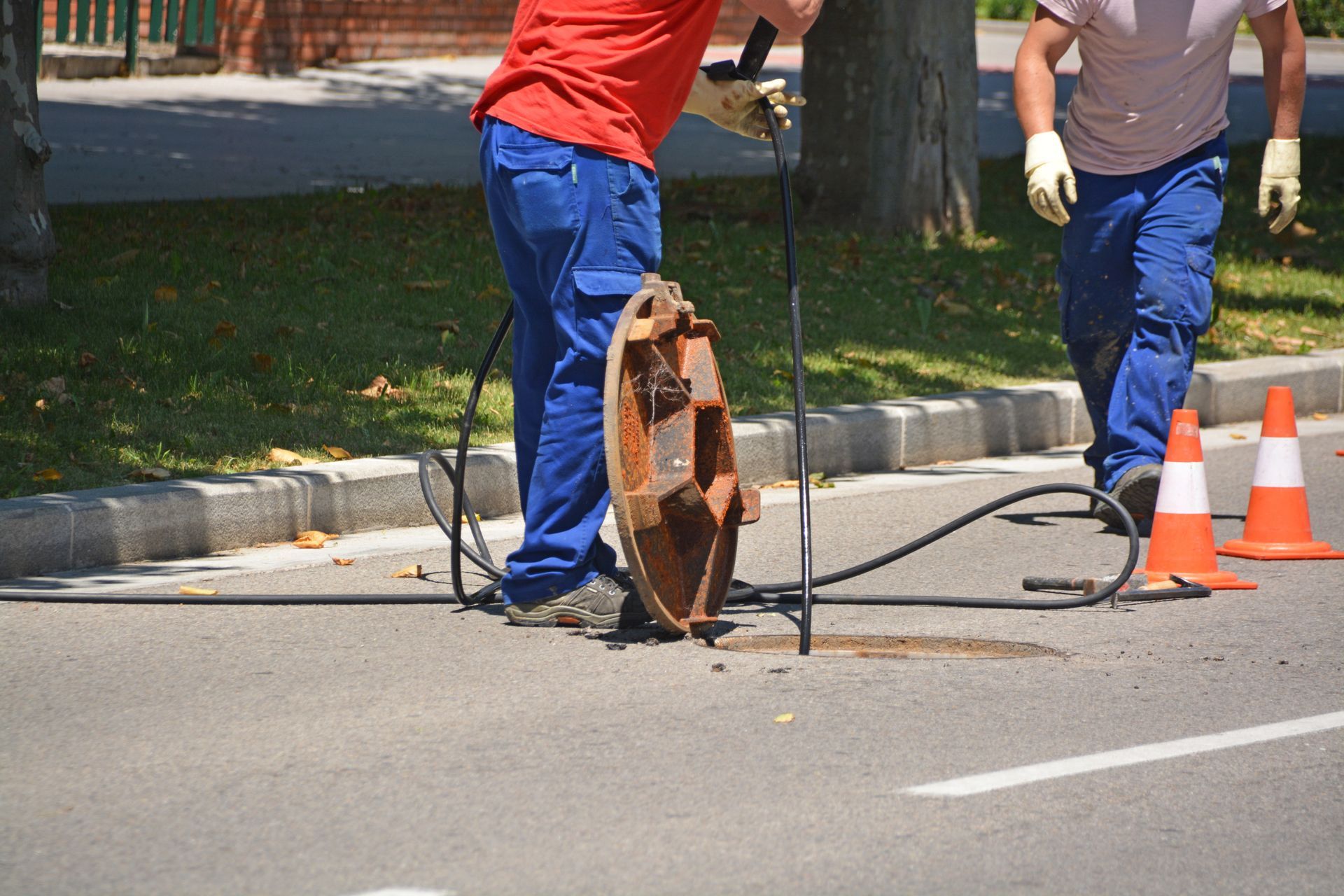 Inspection d'un tout à l'égout 