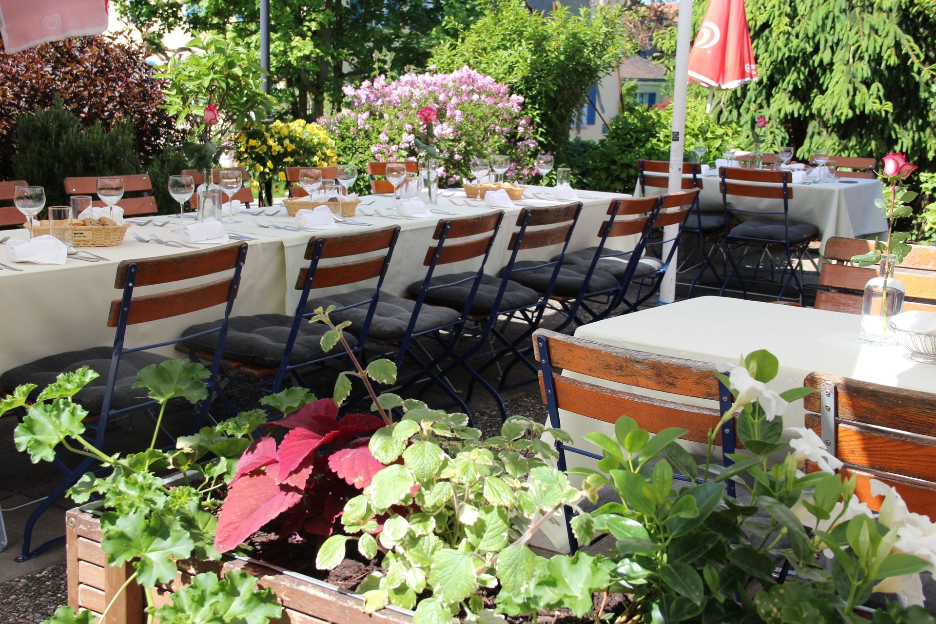 Terrasse - Landgasthof zum Schwert