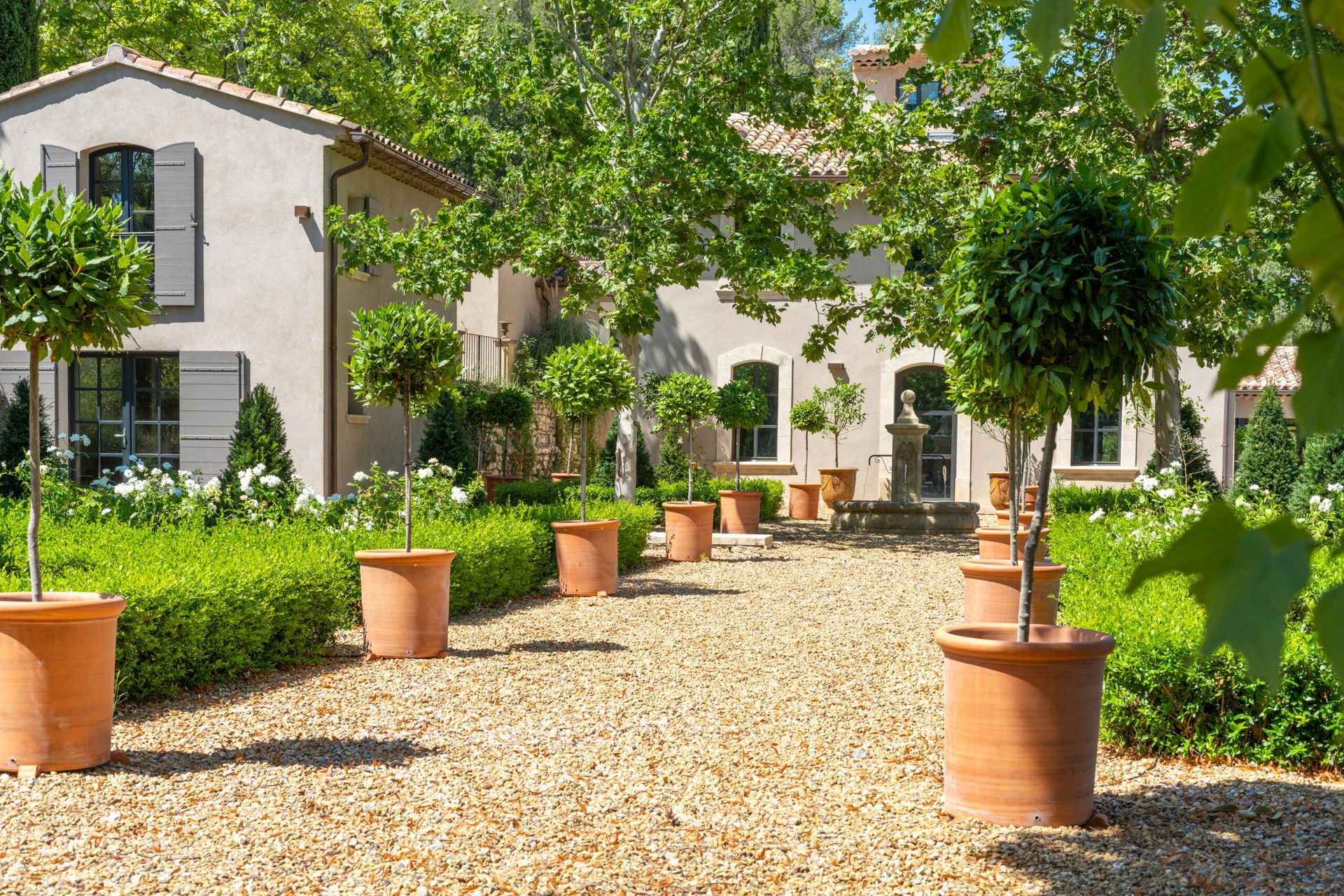 Une rangée de plantes en pot est alignée sur un chemin de gravier devant une maison.