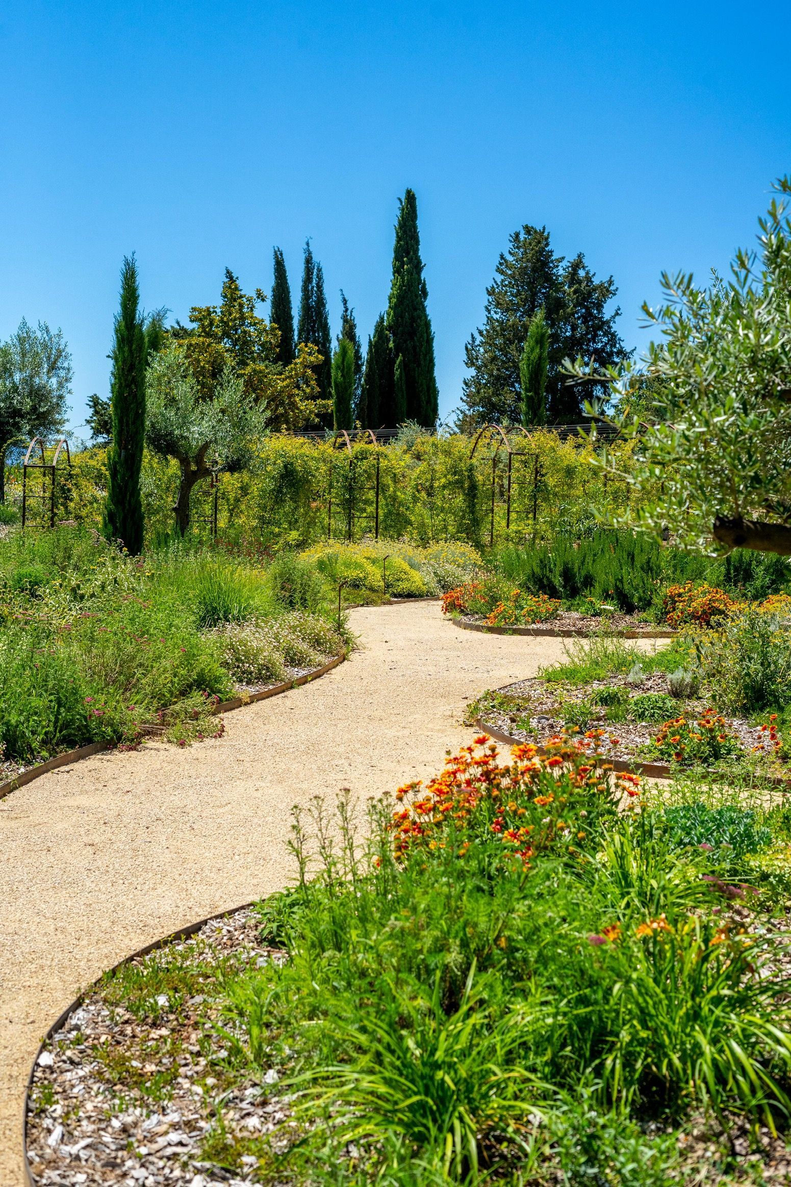 Un chemin dans un jardin entouré d'arbres et de fleurs par une journée ensoleillée.