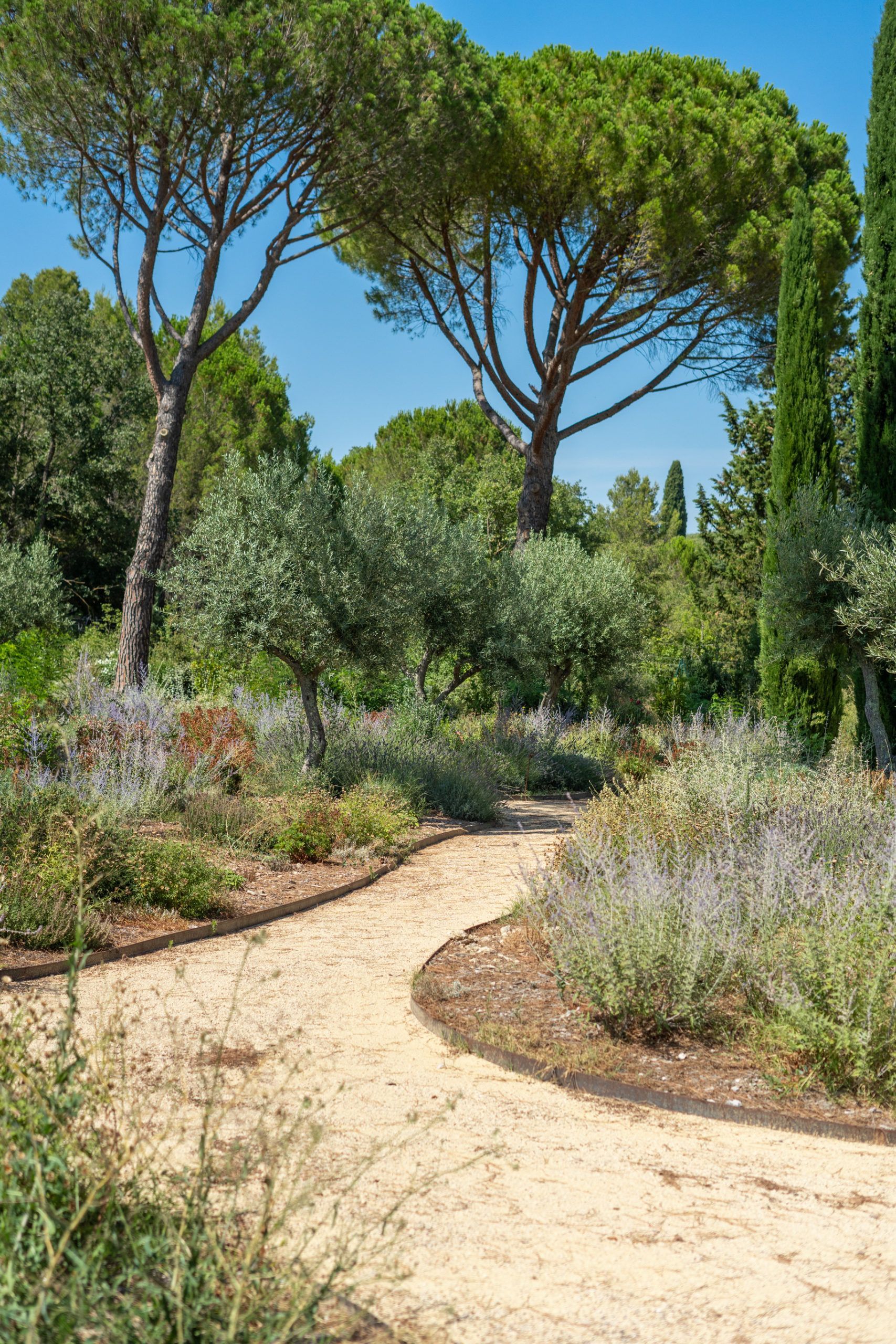 Un chemin de terre dans un jardin entouré d'arbres et d'arbustes.