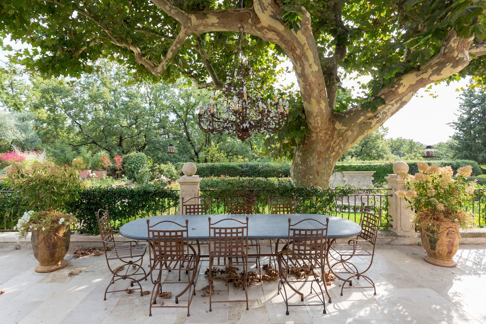 Un patio avec une table et des chaises sous un arbre