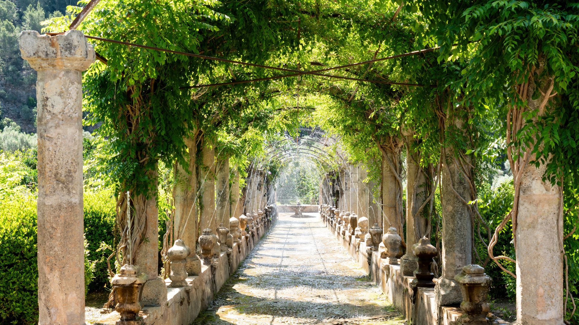 Une allée en pierre bordée d'arbres et de colonnes dans un parc.