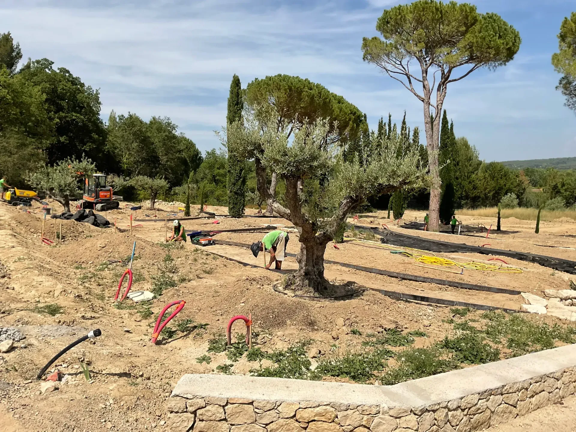 Un groupe de personnes travaille dans un champ avec des arbres en arrière-plan.