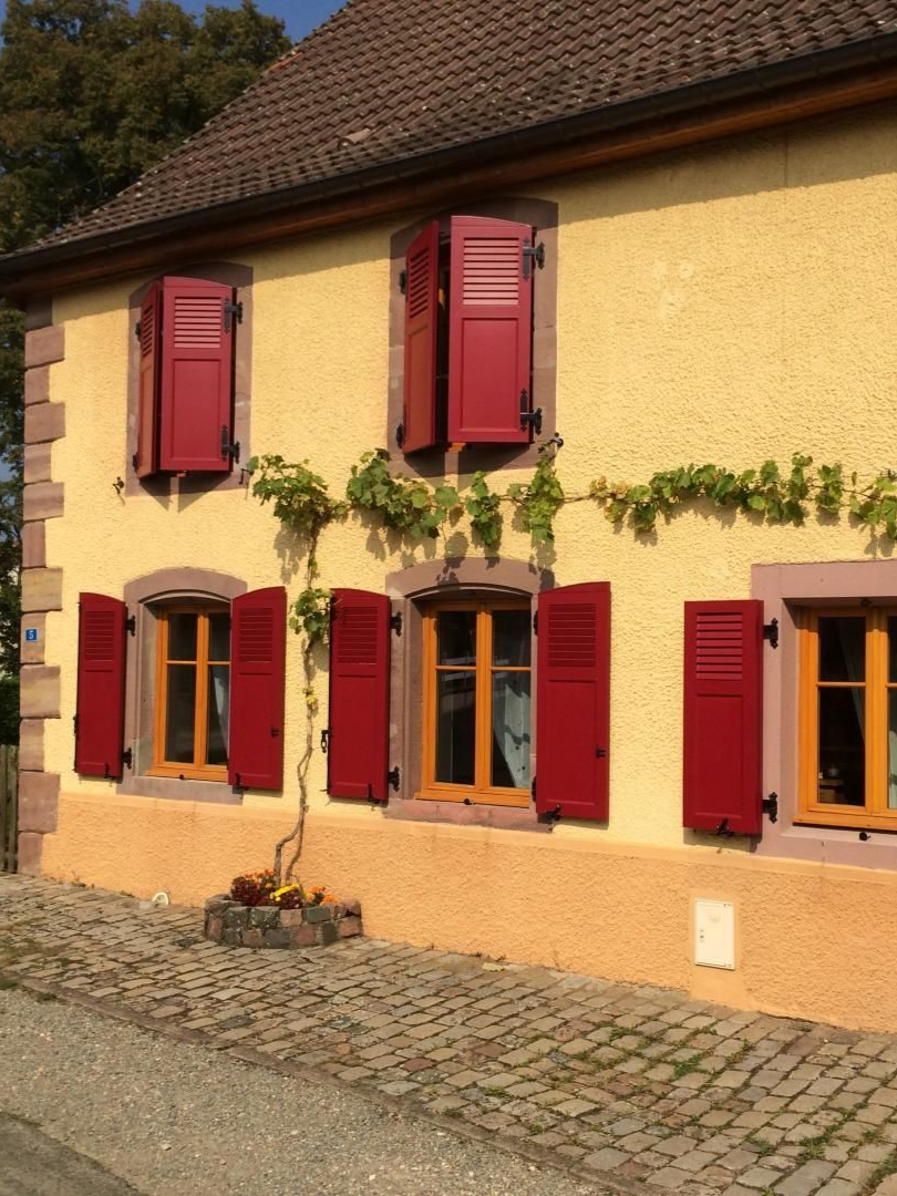 Maison jaune aux volets rouges et vignes.