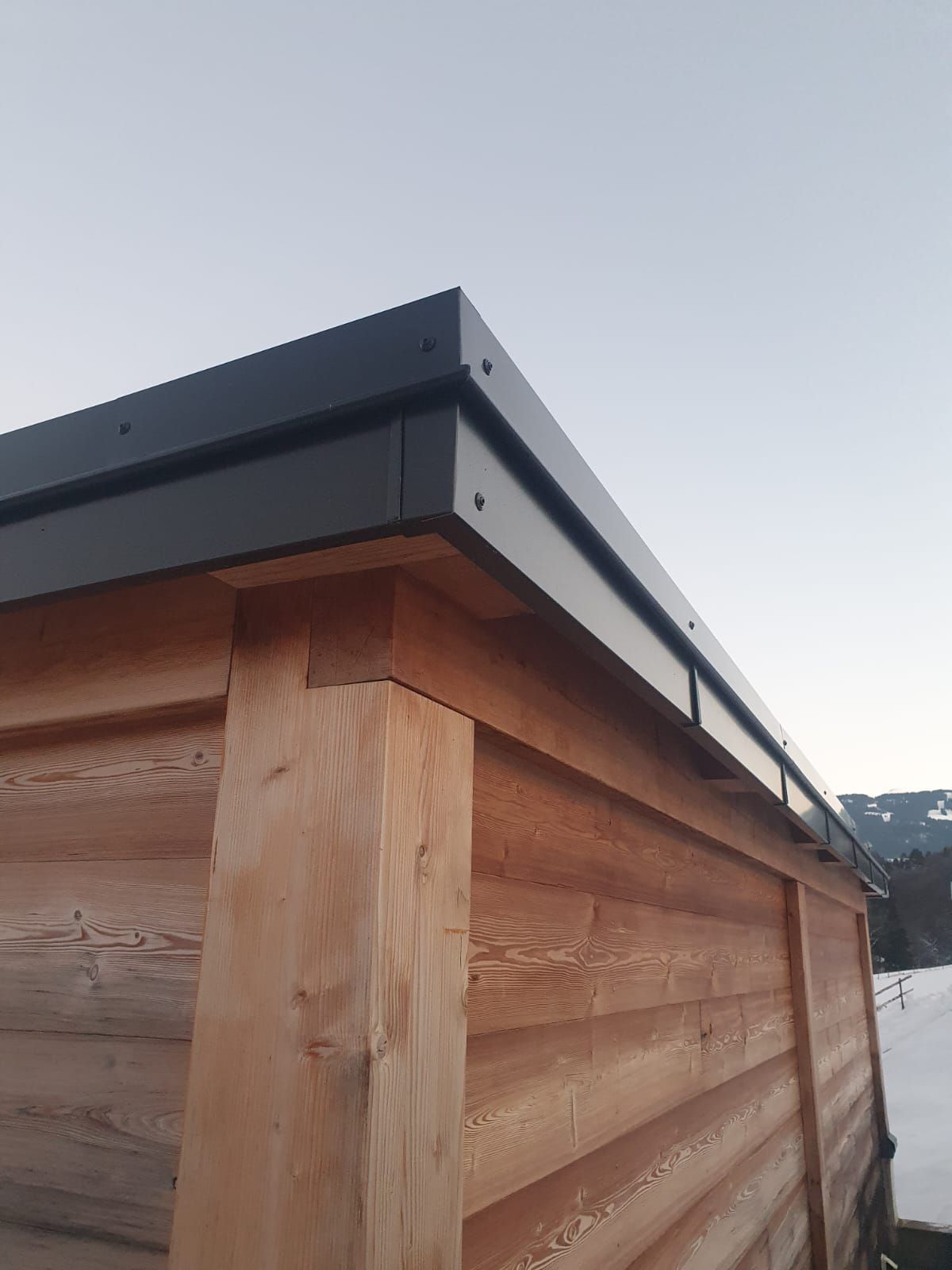Gros plan sur un mur extérieur en bois avec une charpente de toit en métal sombre se détachant sur un ciel pâle.