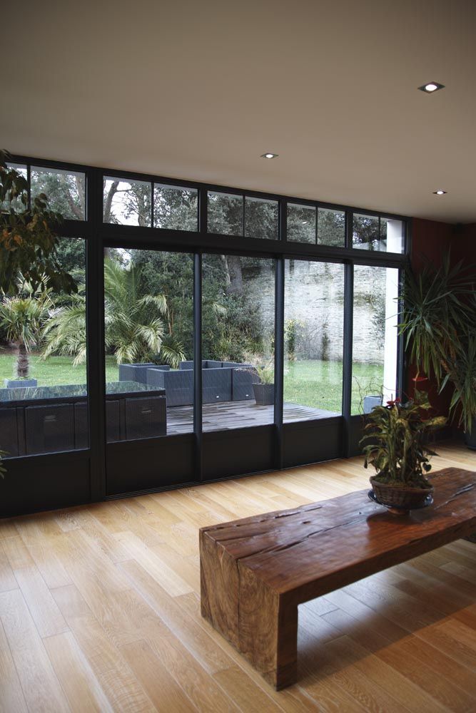 Salon moderne avec portes vitrées du sol au plafond, banc en bois et plante d'intérieur donnant sur un jardin.