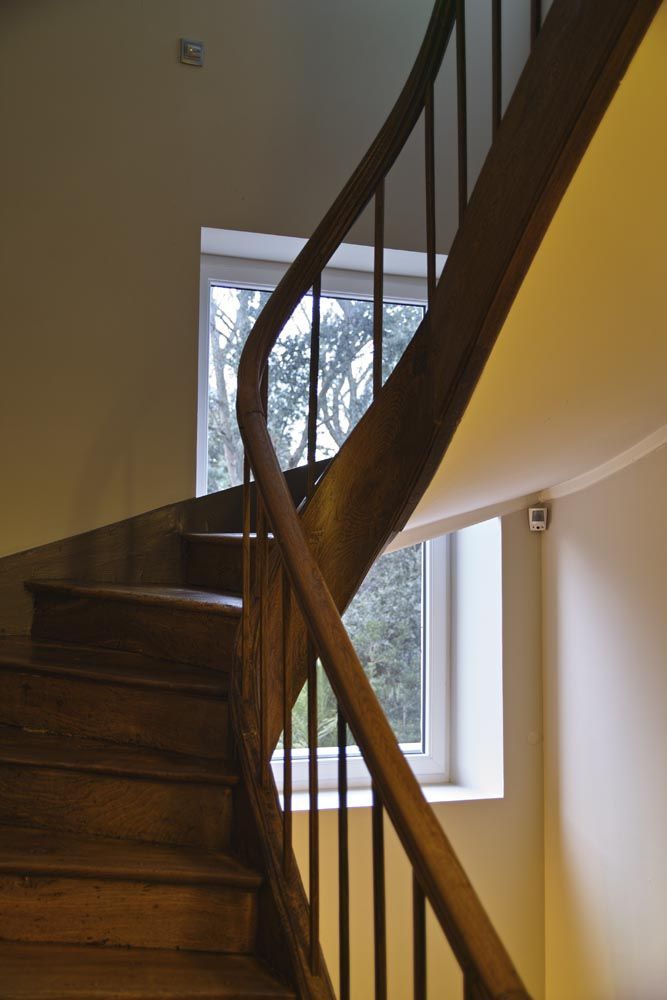 Escalier en bois avec rampe foncée à côté d'une fenêtre dans un couloir intérieur beige