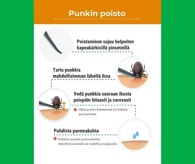 vehkojanapteekki