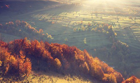 Paysage de plaine et de montagne en automne - Sonia Bahouth psychologue, Cabinet Sagita