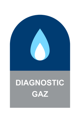 Icône diagnostic gaz
