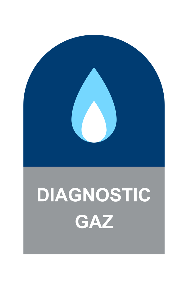 Icône diagnostic gaz