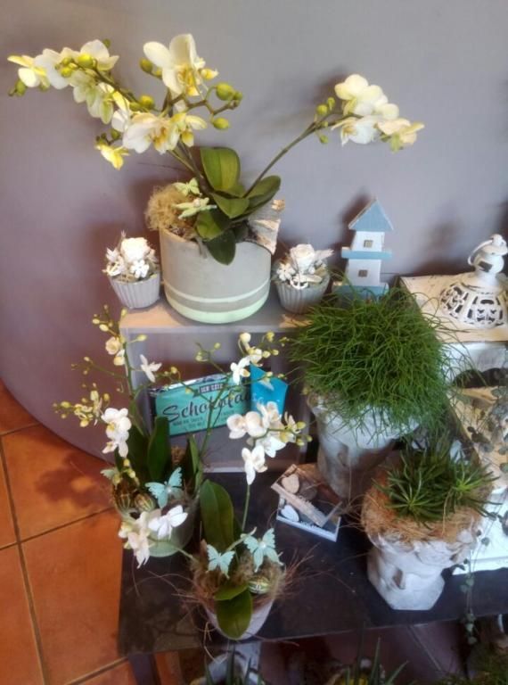 Blumenboutique Ursula Birmenstorf AG