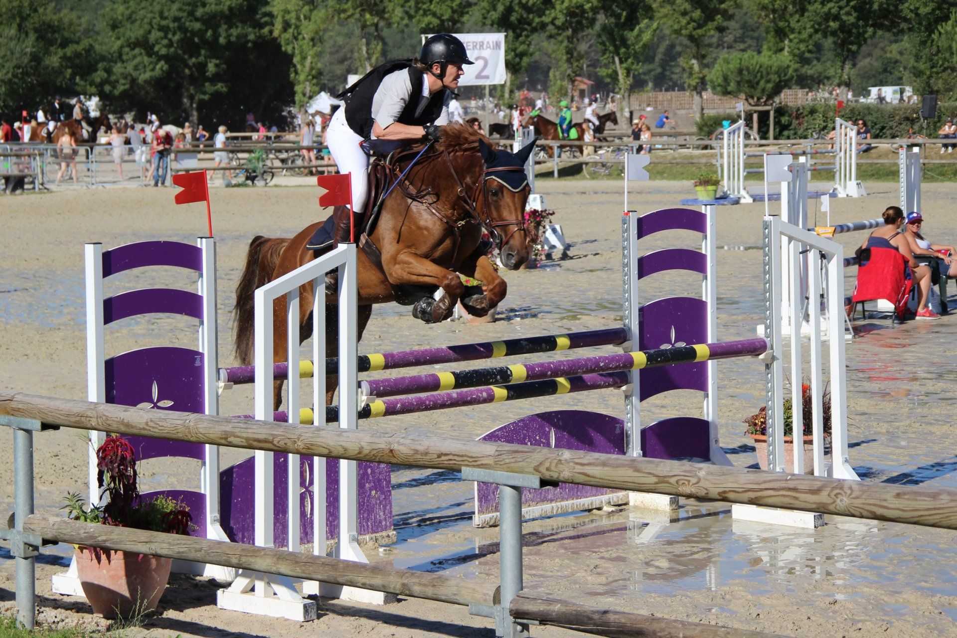 Club Hippique Clermontois Cours d'équitation à ClermontFerrand