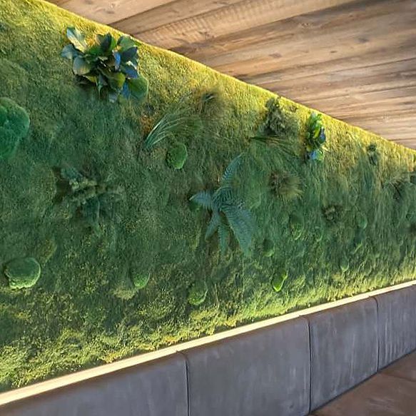 Eine grüne Wand mit darauf wachsenden Pflanzen