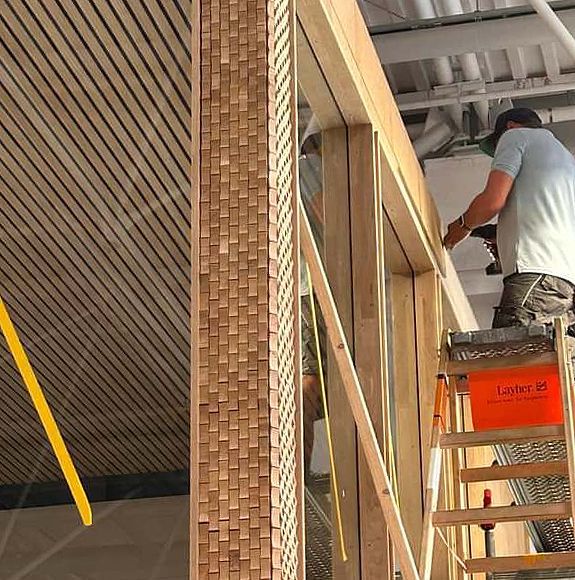 Ein Mann steht auf einer Leiter mit einem orangefarbenen Kasten, auf dem LG steht